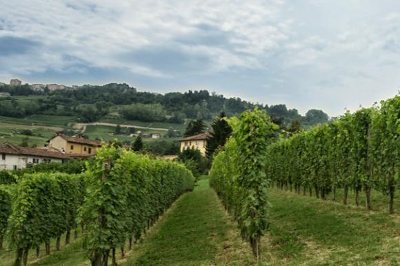 Piemonte